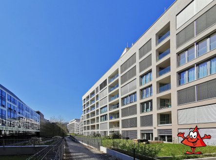 Pronájem bytu, 1+kk, 61 m²
