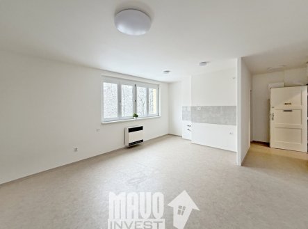 Pronájem bytu, 1+kk, 34 m²