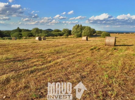 Prodej pozemku, trvalý travní porost, 118 619 m²