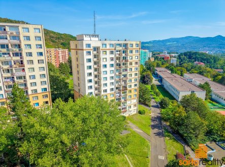 Prodej bytu, 1+1, 42 m²