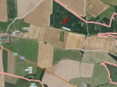 Prodej pozemku, les, 1 919 m²