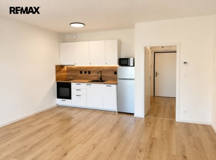 Pronájem bytu, 1+kk, 50 m²