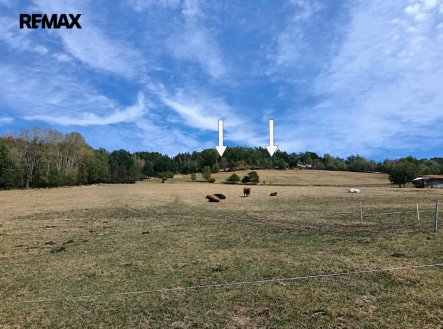 Prodej pozemku, trvalý travní porost, 5 943 m²