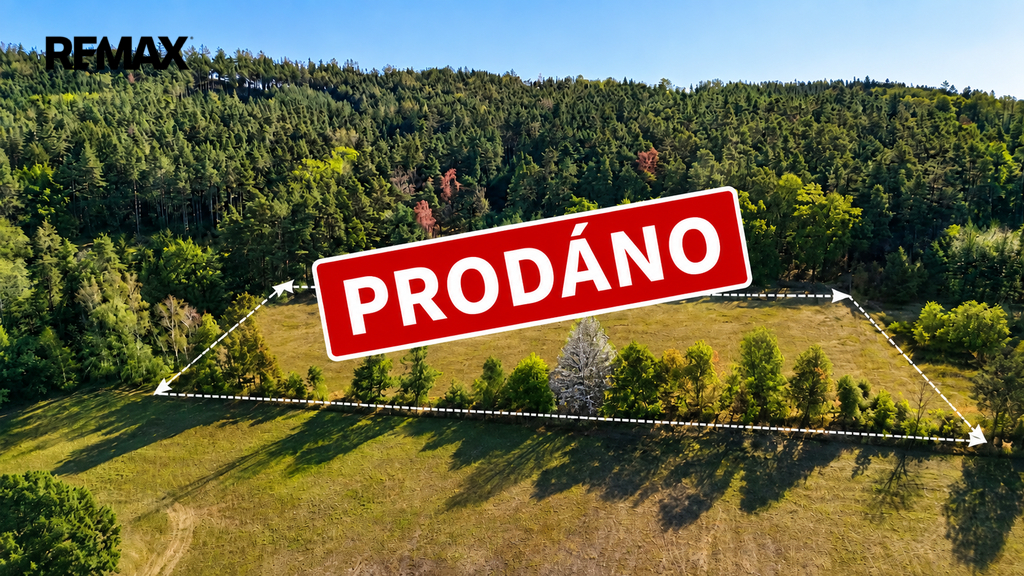 prodany-pozemek-v-zelenem-lese.png