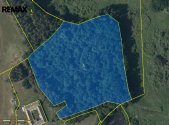 Prodej pozemku, les, 63 558 m²