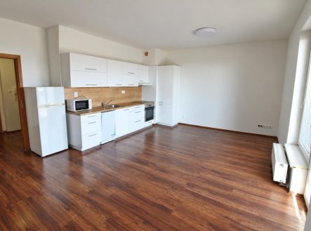 Pronájem bytu, 1+kk, 41 m²
