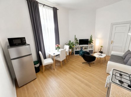 Pronájem bytu, 1+1, 46 m²
