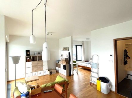 Pronájem bytu, 1+kk, 57 m²