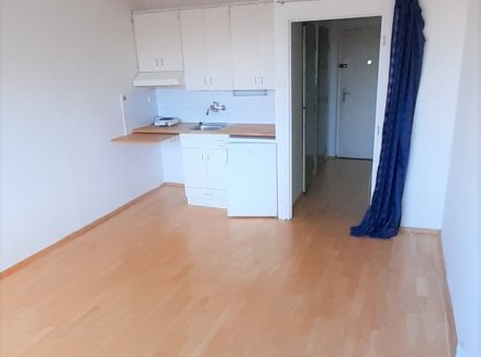 Pronájem bytu, 1+kk, 25 m²