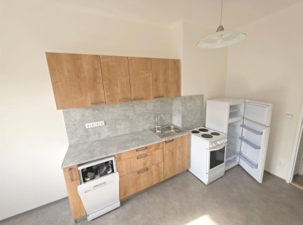 Pronájem bytu, 1+1, 46 m²