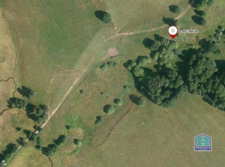 Prodej pozemku, trvalý travní porost, 9 771 m²