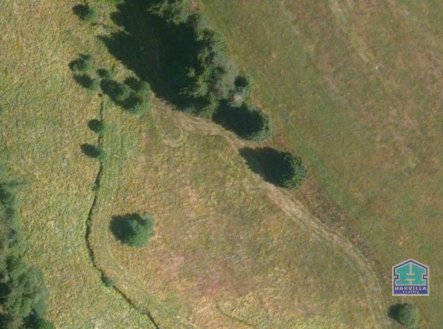 Prodej pozemku, trvalý travní porost, 9 771 m²