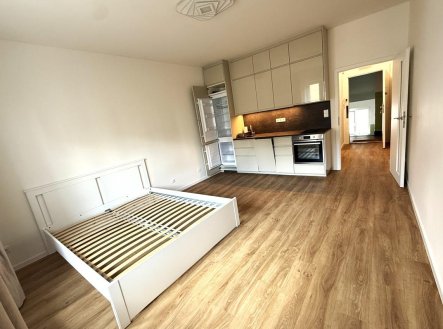 Pronájem bytu, 1+kk, 28 m²