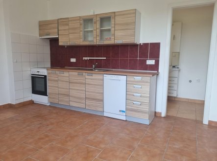 20250609_161838 | Pronájem bytu, 3+kk, 42 m²