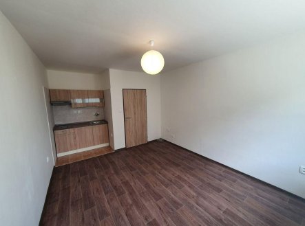 Pronájem bytu, 1+kk, 22 m²