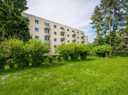 Pronájem bytu, 2+1, 55 m²