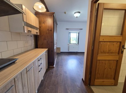 Pronájem bytu, 1+kk, 49 m²