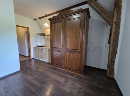 Pronájem bytu, 1+kk, 49 m²