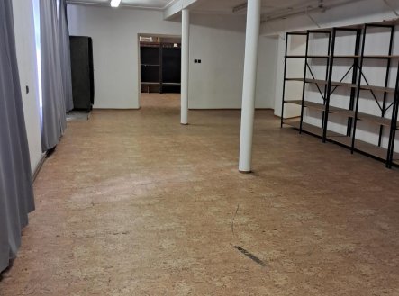 Pronájem skladu, 300 m²