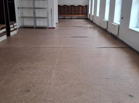 Pronájem skladu, 300 m²