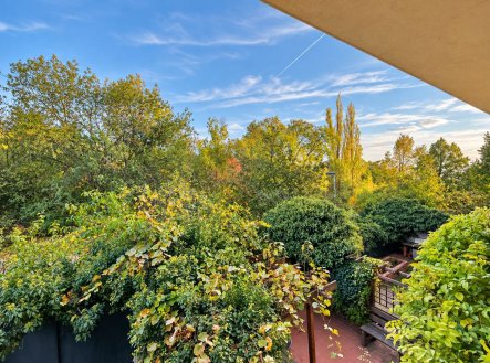 Pronájem bytu, 1+kk, 26 m²