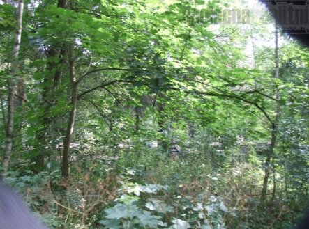 Prodej pozemku pro bydlení, 1 742 m²