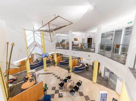 Pronájem kanceláře, 317 m²