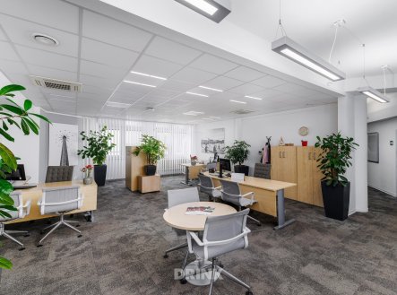Pronájem kanceláře, 14 m²