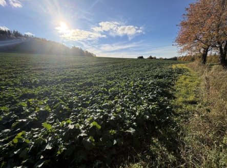 Prodej pozemku, zemědělská půda, 8 551 m²