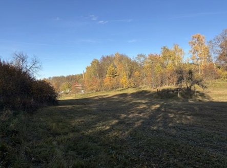 Prodej pozemku, zemědělská půda, 8 551 m²