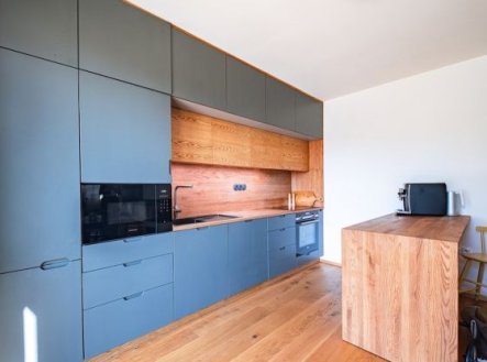 Prodej bytu, 4+1, 1 046 m²