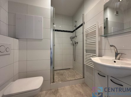 Pronájem bytu, 1+1, 36 m²