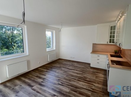 Pronájem bytu, 1+kk, 38 m²