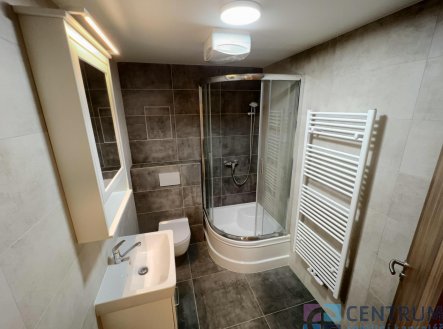 koupelna | Pronájem bytu, 1+kk, 38 m²