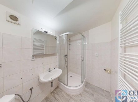 Pronájem bytu, 1+1, 42 m²