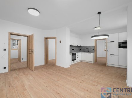 Pronájem bytu, 3+kk, 63 m²