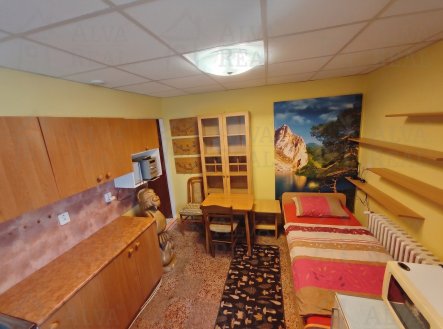 Pronájem bytu, 1+kk, 16 m²