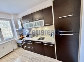 Pronájem bytu, 1+1, 64 m²