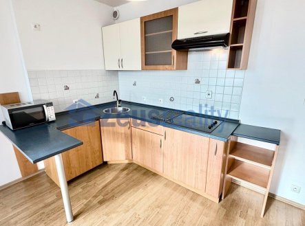Pronájem bytu, 1+kk, 44 m²