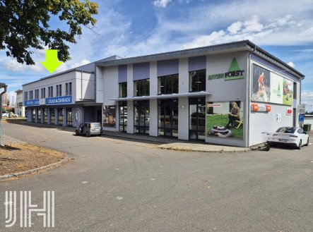 Pronájem obchodní prostory, 300 m²