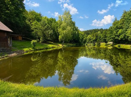 Prodej chaty/rekreačního objektu, 40 m²
