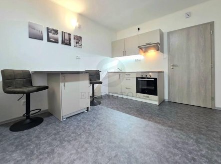 Pronájem bytu, 1+kk, 30 m²