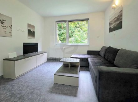 Pronájem bytu, 1+kk, 30 m²