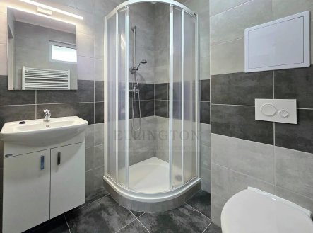 Pronájem bytu, 1+kk, 30 m²