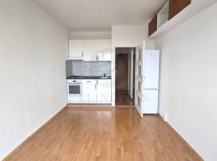 Pronájem bytu, 1+kk, 26 m²