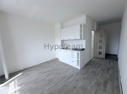 Pronájem bytu, 1+1, 42 m²
