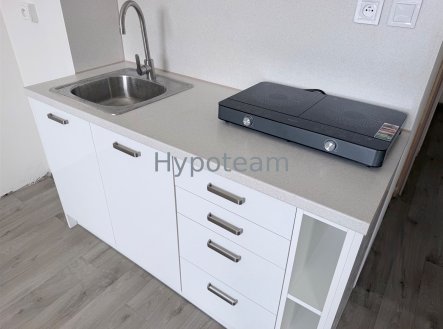 Pronájem bytu, 1+1, 42 m²