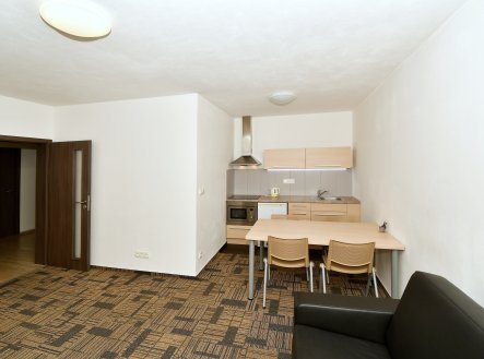 Pronájem bytu, 2+kk, 66 m²