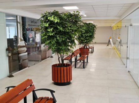 Pronájem komerčního objektu, obchodní centrum, 75 m²