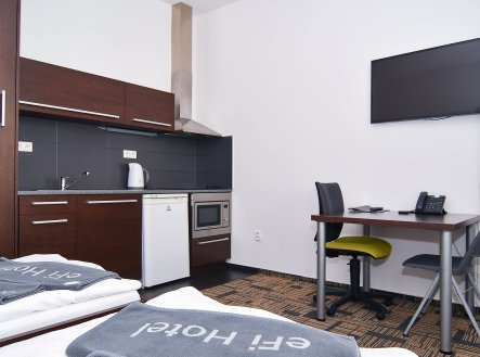 Prodej bytu, 1+kk, 24 m²